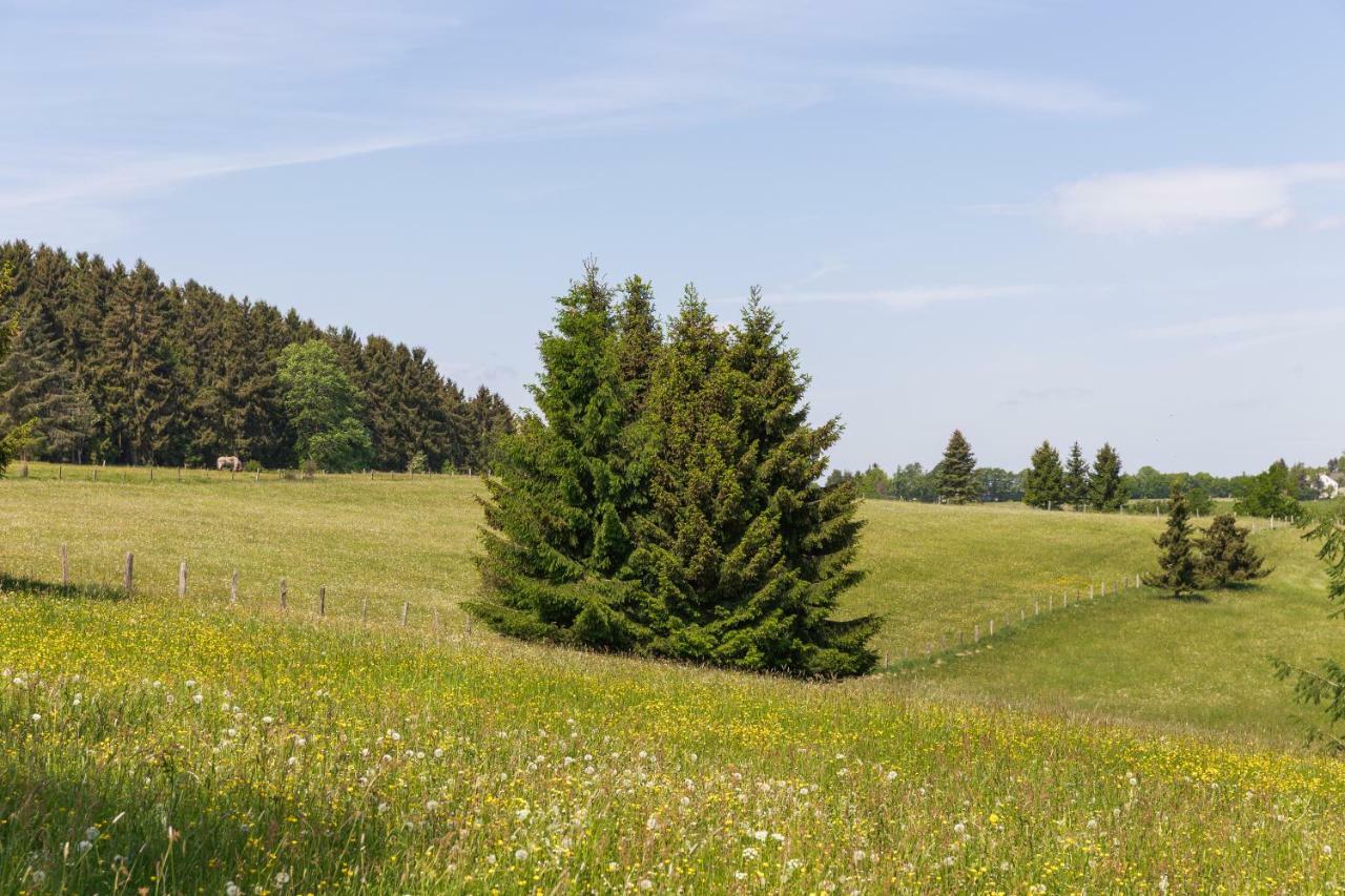 Landhaus Schnorrenberg, Wellness & Nature Hellenthal Extérieur photo