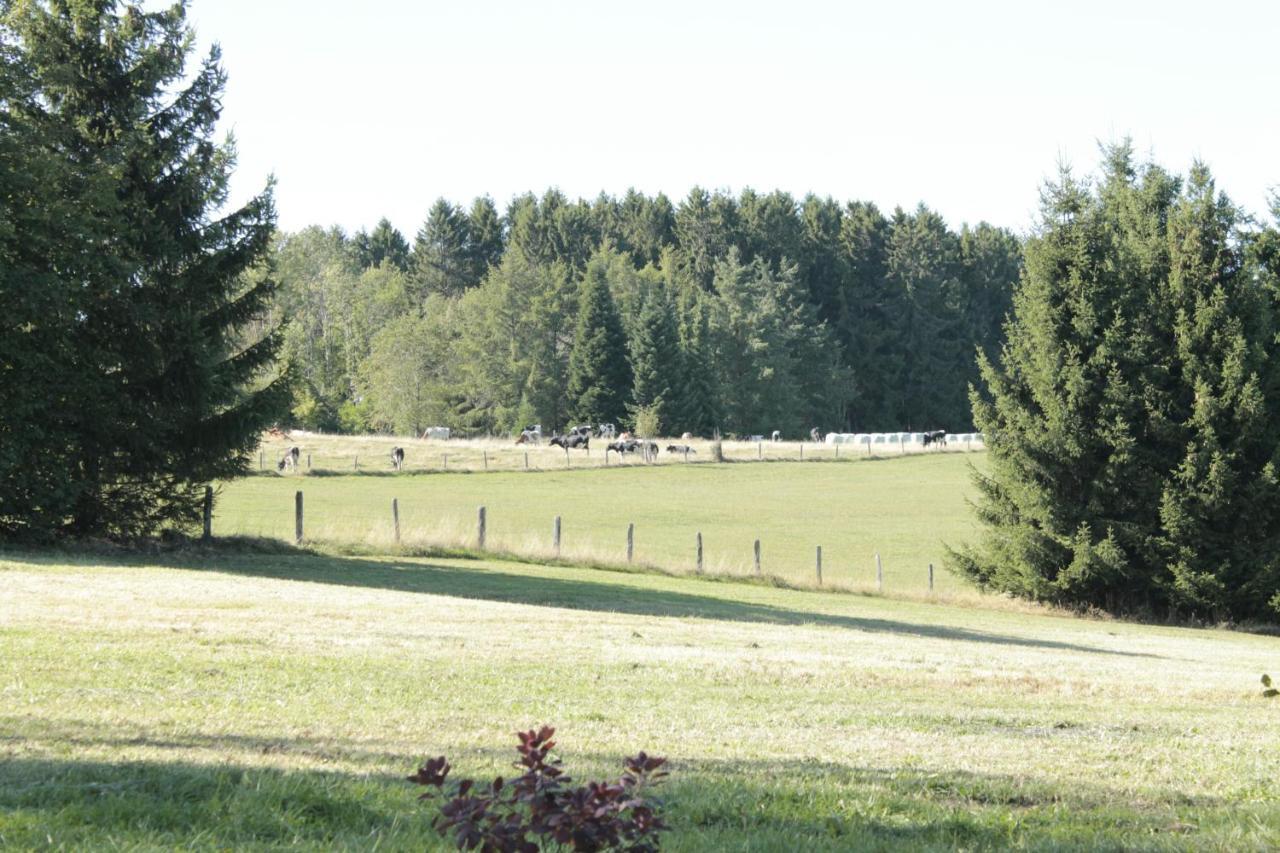 Landhaus Schnorrenberg, Wellness & Nature Hellenthal Extérieur photo